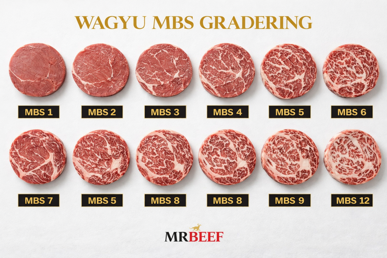 Wagyu MBS grading fra MBS 1 til MBS 12 – fedtmarmorering i wagyu kød