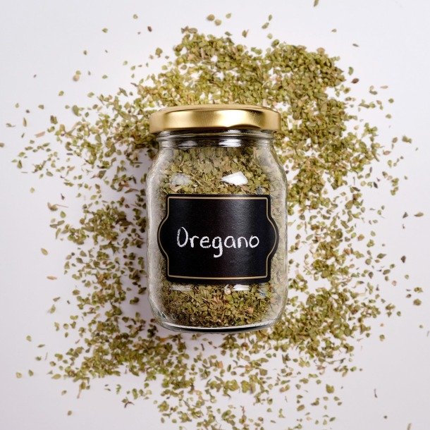Oregano 