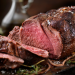 Eye Round Roast